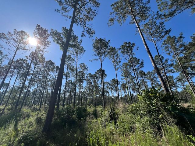 T-8 Fountain Creek Road, Groveton, TX 75845