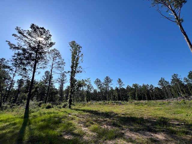 T-8 Fountain Creek Road, Groveton, TX 75845