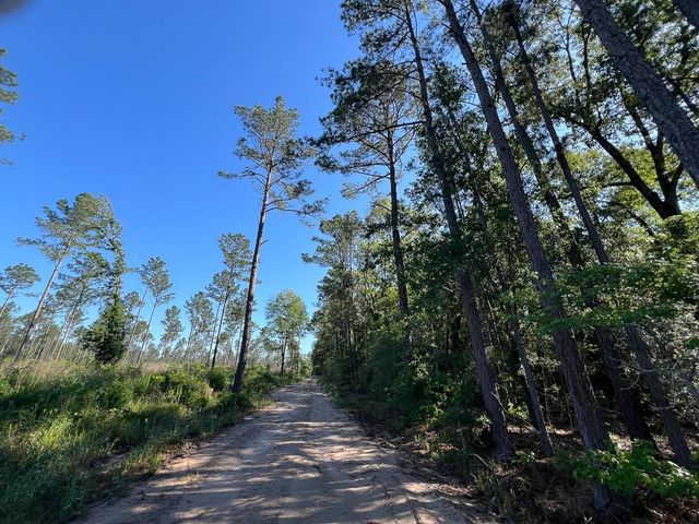 T-8 Fountain Creek Road, Groveton, TX 75845