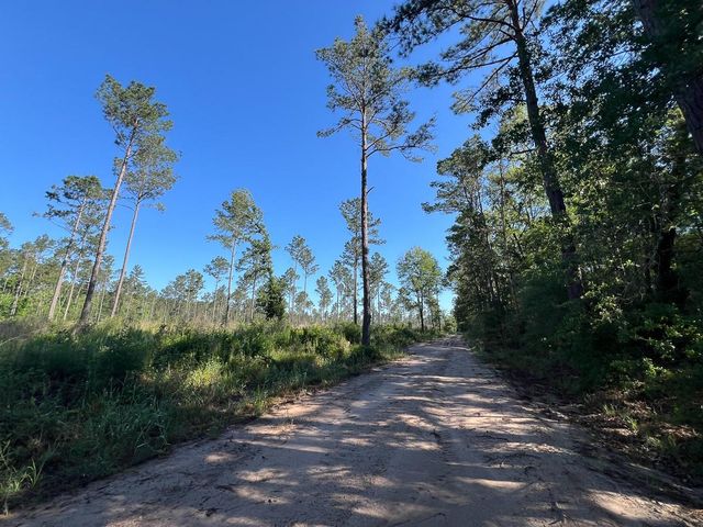 T-8 Fountain Creek Road, Groveton, TX 75845
