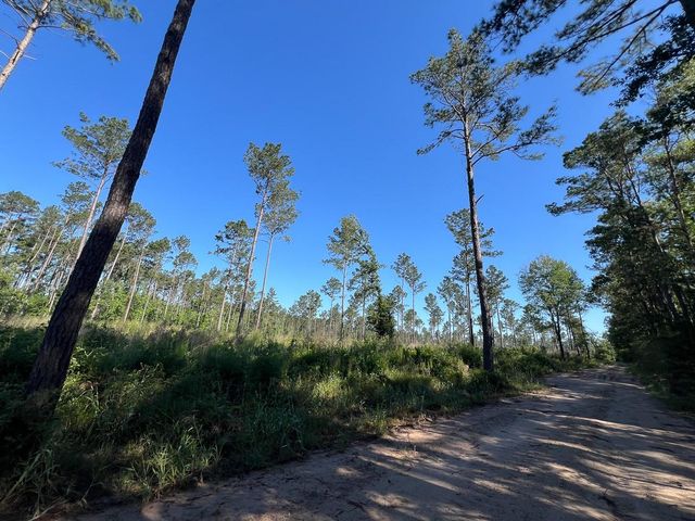 T-8 Fountain Creek Road, Groveton, TX 75845