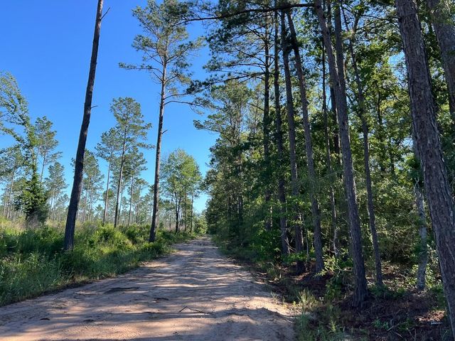 T-8 Fountain Creek Road, Groveton, TX 75845