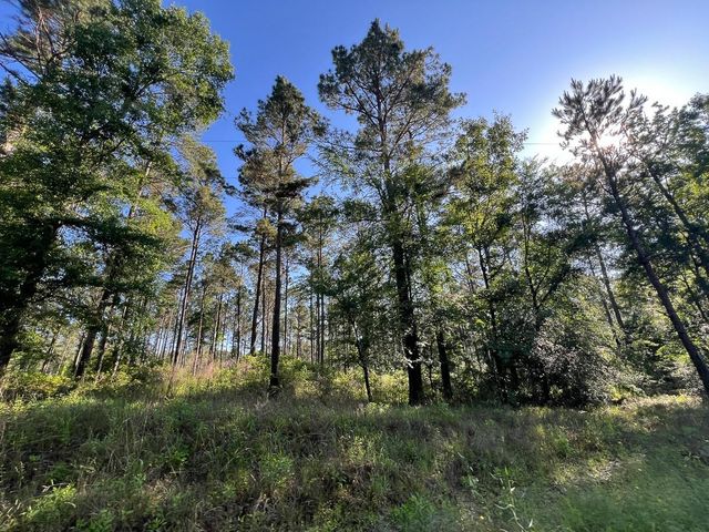 T-8 Fountain Creek Road, Groveton, TX 75845