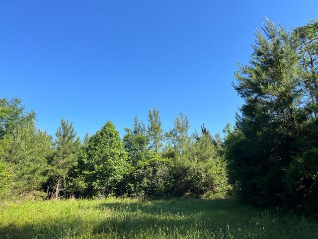 T-8 Fountain Creek Road, Groveton, TX 75845