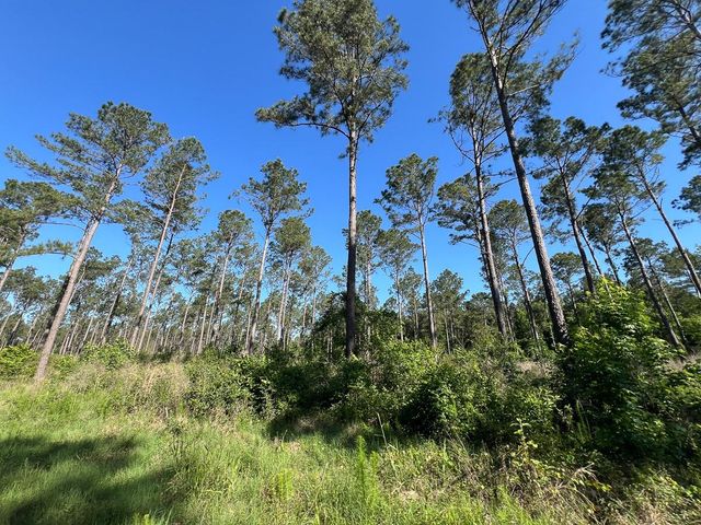 T-8 Fountain Creek Road, Groveton, TX 75845