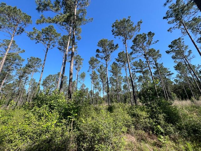 T-8 Fountain Creek Road, Groveton, TX 75845