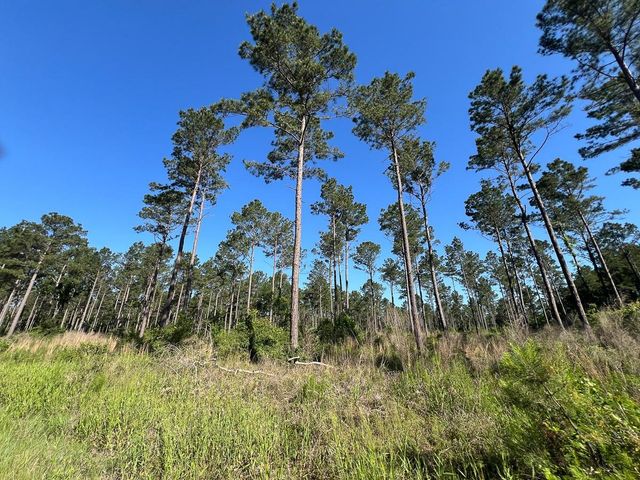 T-8 Fountain Creek Road, Groveton, TX 75845