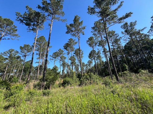 T-8 Fountain Creek Road, Groveton, TX 75845