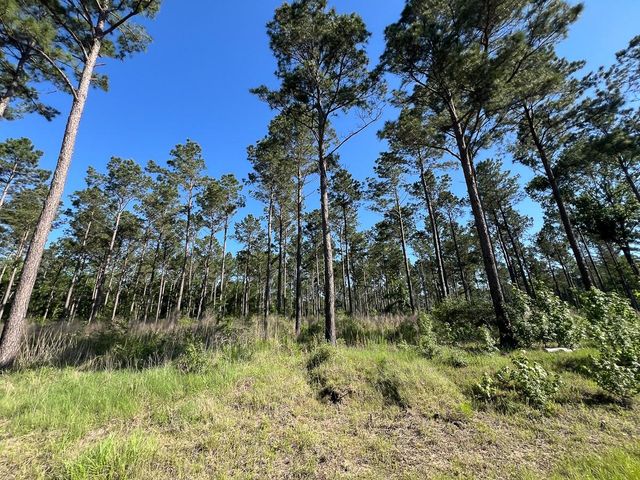 T-8 Fountain Creek Road, Groveton, TX 75845