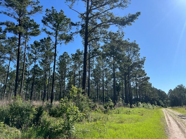 T-8 Fountain Creek Road, Groveton, TX 75845