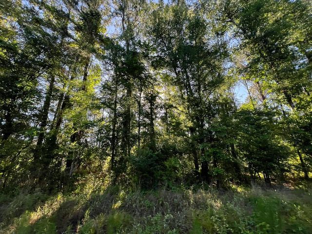 T-8 Fountain Creek Road, Groveton, TX 75845