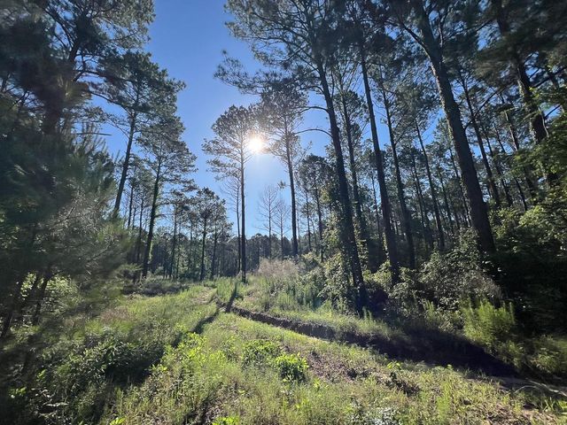 T-8 Fountain Creek Road, Groveton, TX 75845