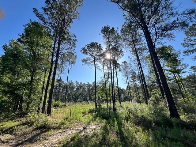 T-8 Fountain Creek Road, Groveton, TX 75845