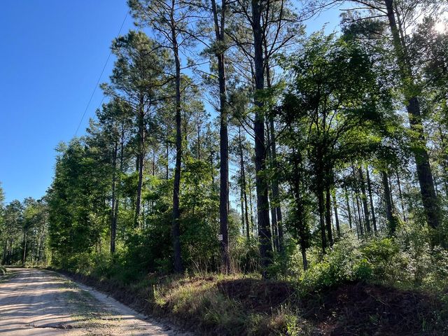 T-8 Fountain Creek Road, Groveton, TX 75845