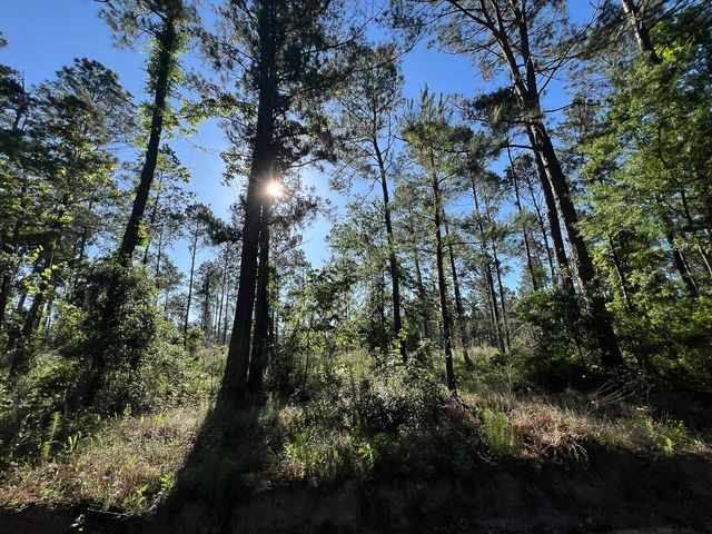T-8 Fountain Creek Road, Groveton, TX 75845