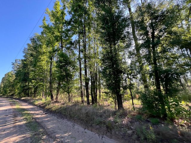 T-8 Fountain Creek Road, Groveton, TX 75845