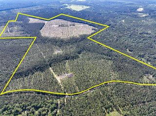 T-8 Fountain Creek Road, Groveton, TX 75845