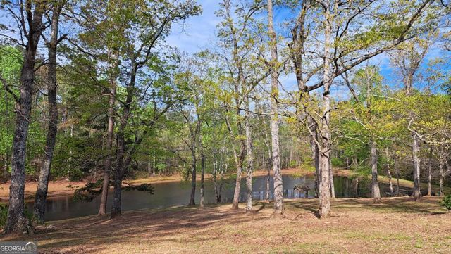 112 Brannon Road, Buchanan, GA 30113