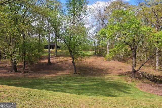112 Brannon Road, Buchanan, GA 30113