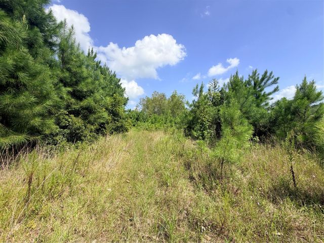 385 County Road 3773, Cleveland, TX 77327