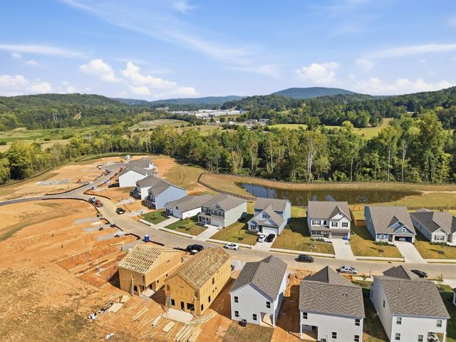 11029 Valmont Way, Apison, TN 37302