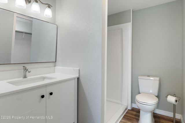 8104 Dinsmore Street, Brooksville, FL 34613
