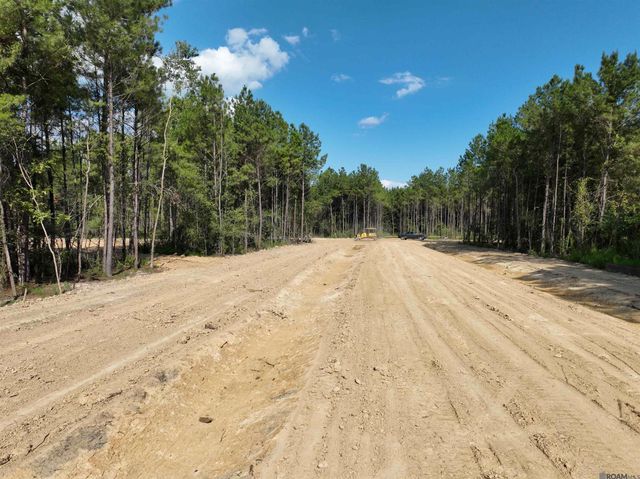 Lot 17 Honey Grove, Livingston, LA 70754