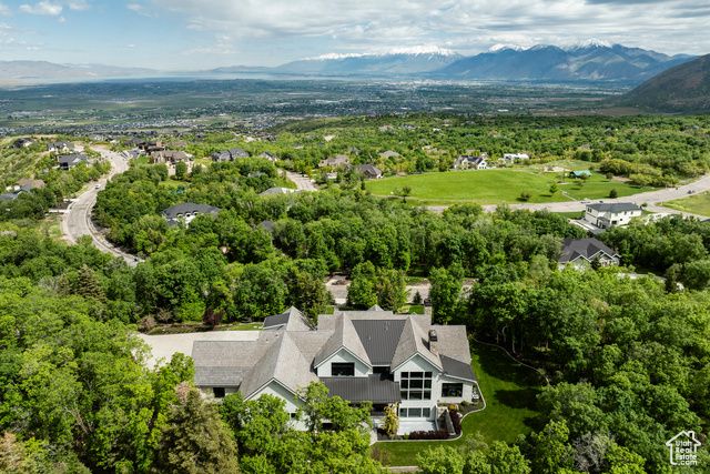 1230 S EAGLENEST DR, Woodland Hills, UT 84653