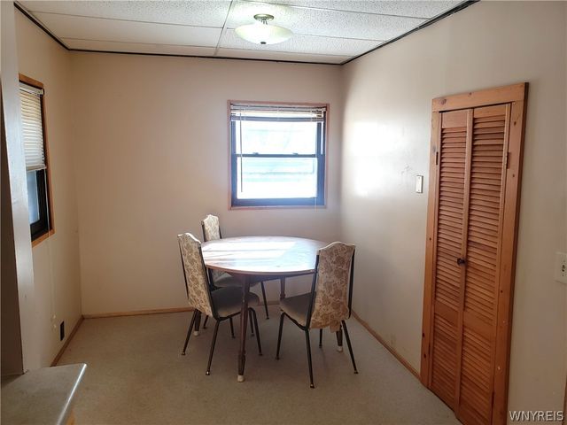 91 Springville Avenue, Amherst, NY 14226