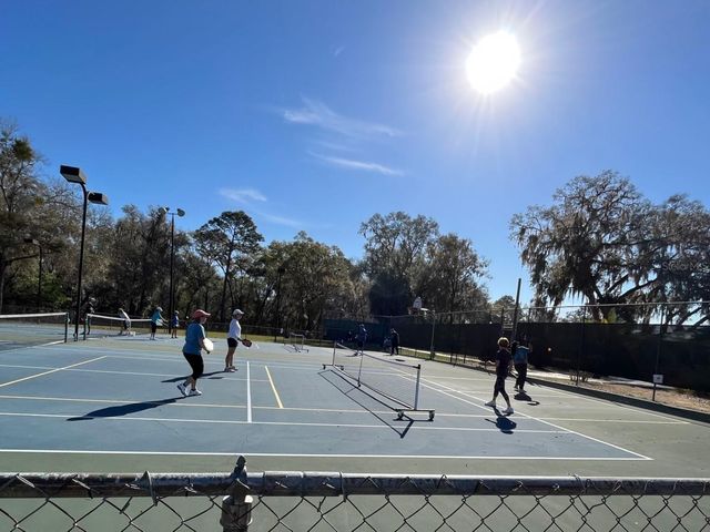 18956 SW 93RD LOOP, Dunnellon, FL 34432