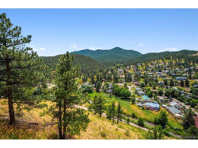 3191 Bittersweet Ln, Evergreen, CO 80439