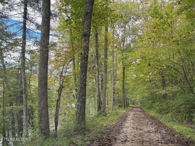 Lot 104 Bear Den Tr, Grandview, TN 37337