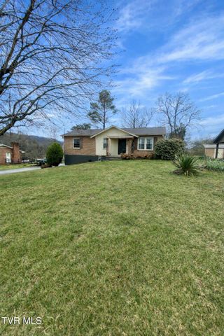 361 Springfield Drive, Bristol, TN 37620