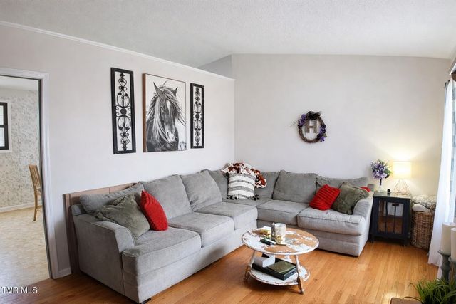 361 Springfield Drive, Bristol, TN 37620