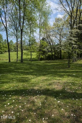 361 Springfield Drive, Bristol, TN 37620