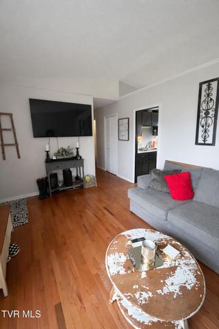 361 Springfield Drive, Bristol, TN 37620