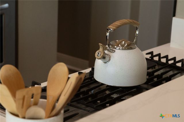 925 River Ranch Circle, Martindale, TX 78655