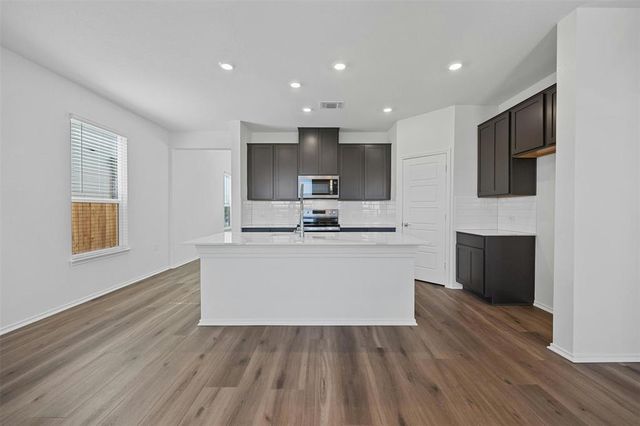 12509 Oxford Vineyard LN, Manor, TX 78653