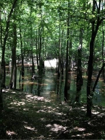 12615 Beaver Brook Street, Lumberton, TX 77657