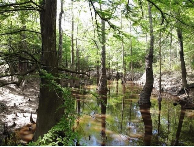 12615 Beaver Brook Street, Lumberton, TX 77657