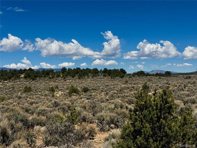 lots 626&628 Slegers Road, Fort Garland, CO 81133