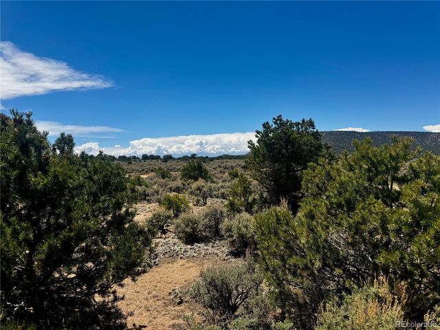 lots 626&628 Slegers Road, Fort Garland, CO 81133