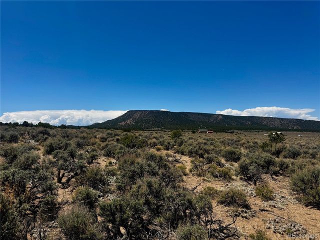 lots 626&628 Slegers Road, Fort Garland, CO 81133