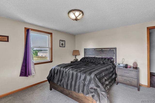 8801 Chestnut Ridge Road, Royalton, NY 14067