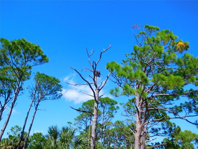9 HAIG PLACE 704, Dunedin, FL 34698