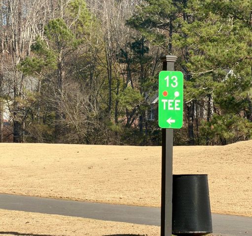 122 Golf View Drive, Cohutta, GA 30710