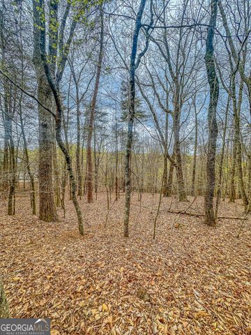0 Green Meadows, Dahlonega, GA 30533
