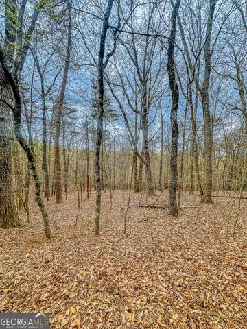 0 Green Meadows, Dahlonega, GA 30533
