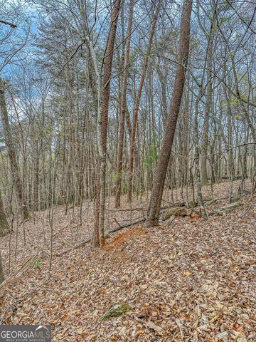 0 Green Meadows, Dahlonega, GA 30533