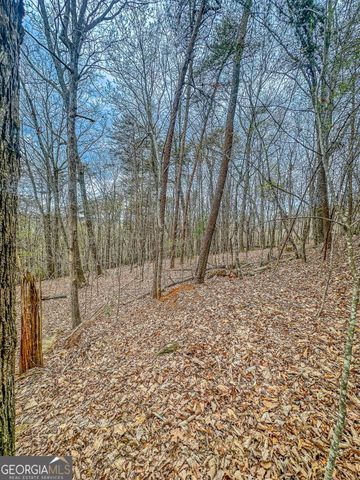 0 Green Meadows, Dahlonega, GA 30533